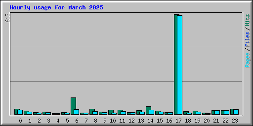 Hourly usage for March 2025